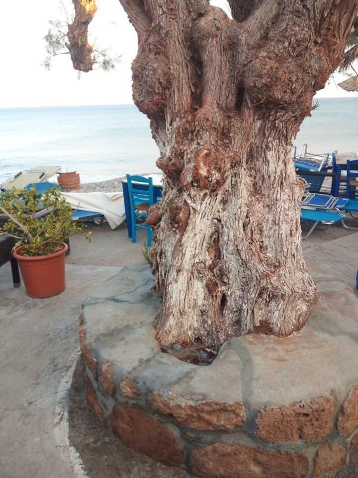 Beachfront Apartment Kato Káto Zákros Dış mekan fotoğraf